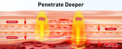 Recoviax Dual-Wavelength Red Light Therapy Mat